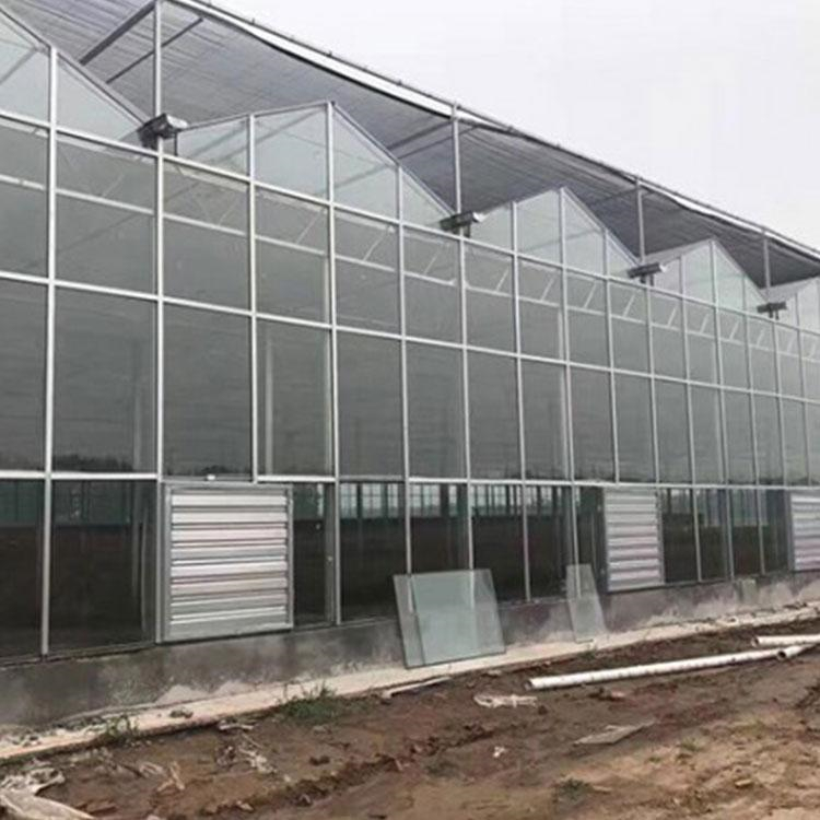 育苗温室建造商 铭智建造育苗温室 价格优惠