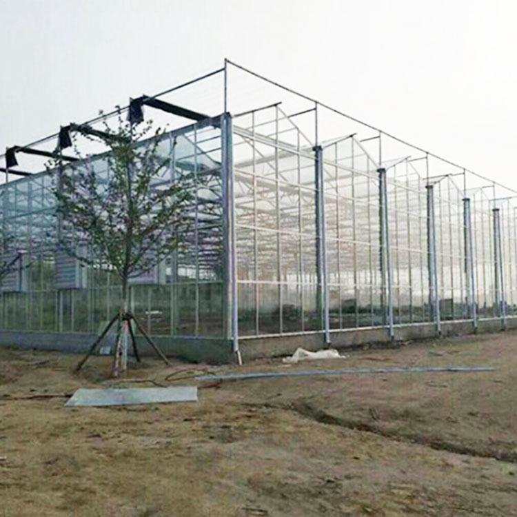 日光温室承建 铭智设计日光温室 使用寿命长