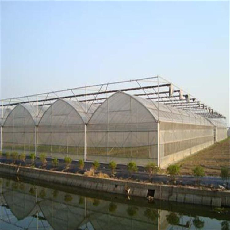 现代化温室大棚 薄膜温室大棚设计 温室建设
