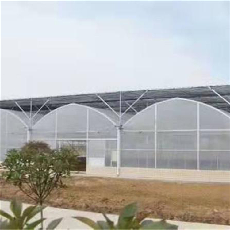 铭智建造育苗温室 育苗温室设计