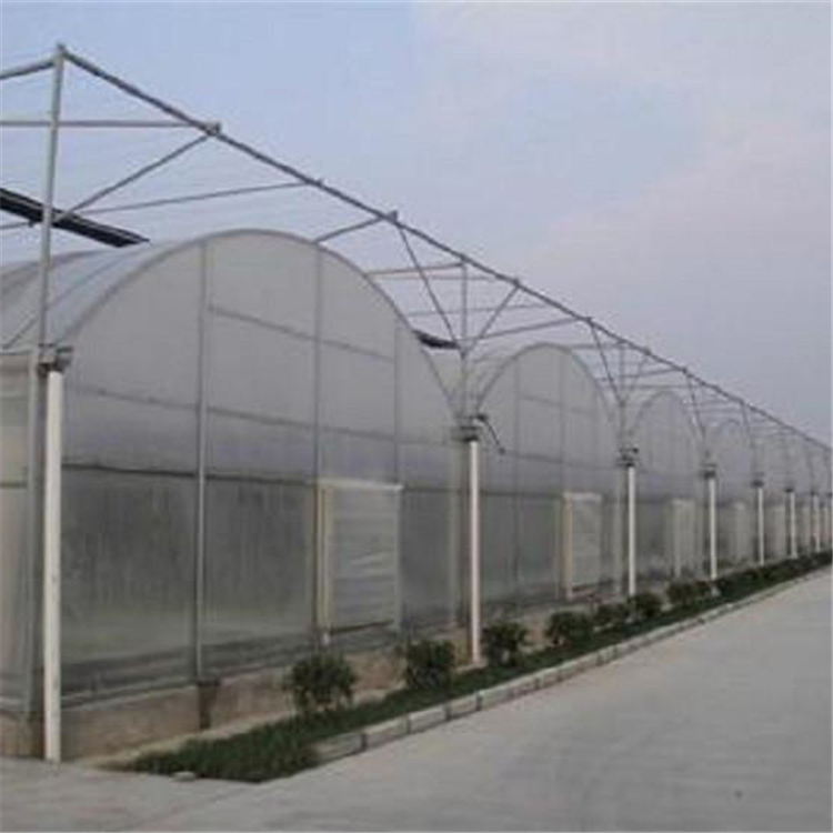 日光温室建设 智能薄膜温室建造 花卉温室大棚