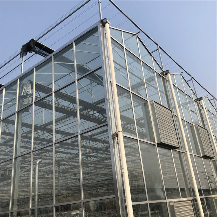 智能温室工程 铭智设计智能温室 使用寿命长