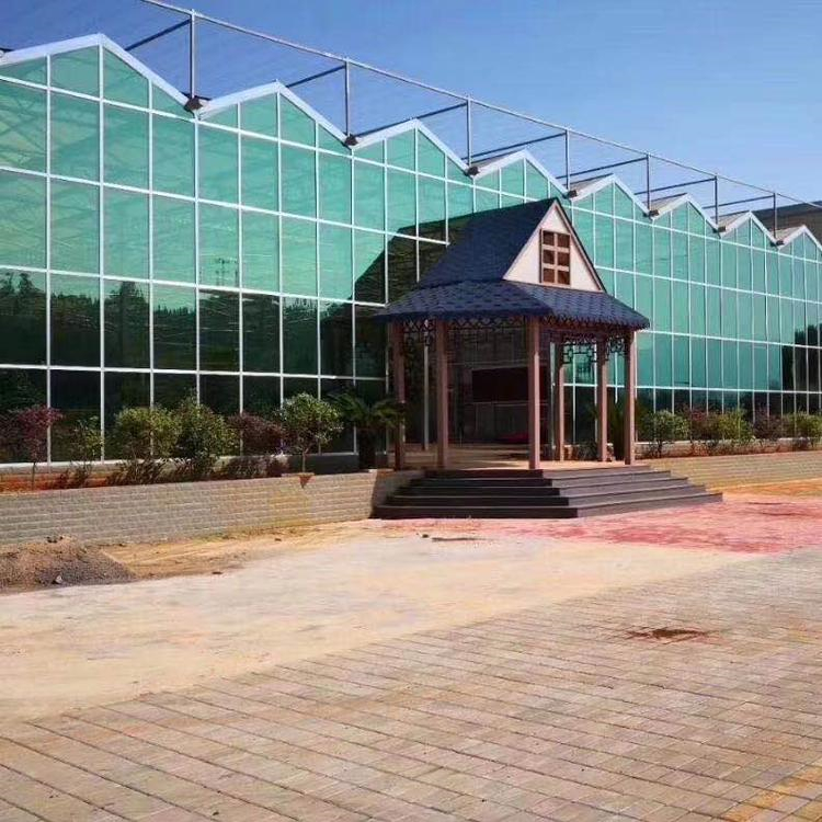 铭智设计连栋大棚 连栋大棚工程 价格优惠