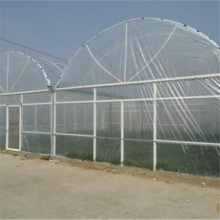 智能温室建设 薄膜连栋温室工程 养殖温室