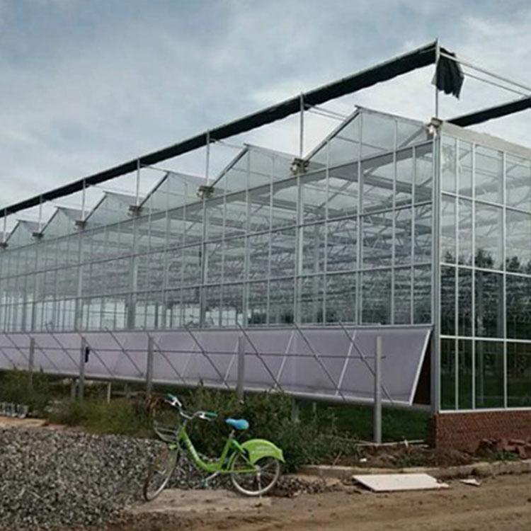 玻璃温室承建 铭智建造玻璃温室 质量有保障