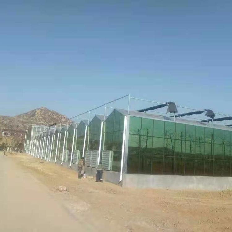 蔬菜育苗温室大棚设计 铭智建设蔬菜育苗温室大棚 欢迎来电咨询