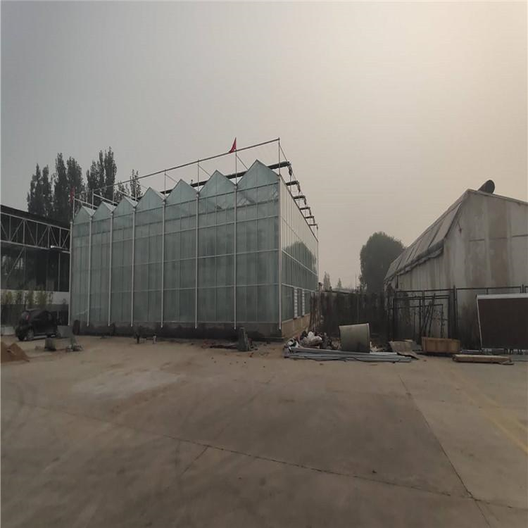 铭智承建温室工程 温室工程设计安装 透光性好
