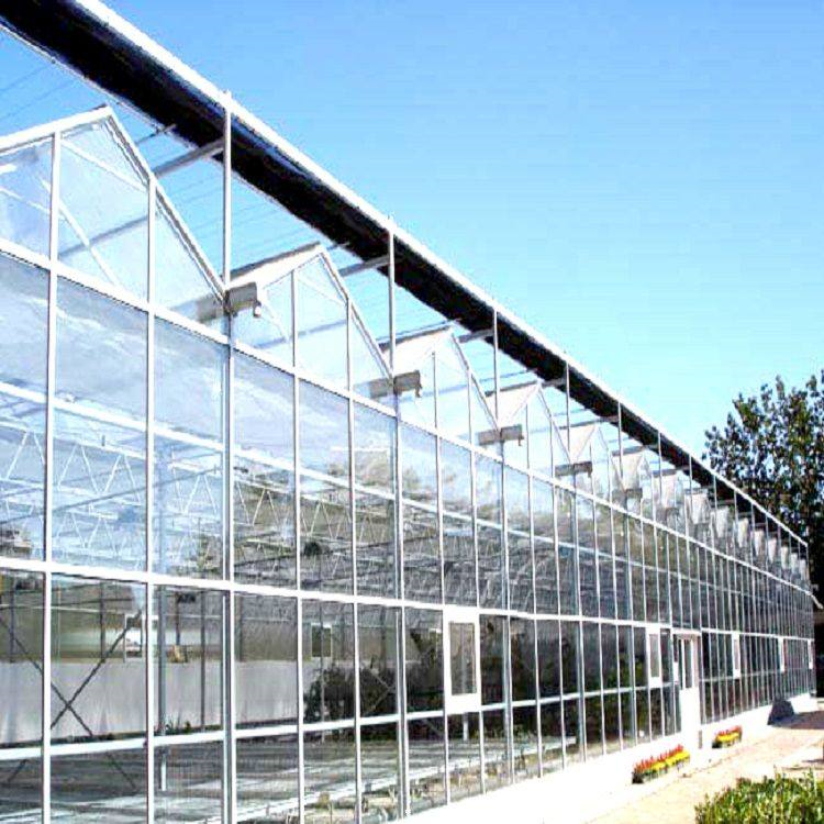 铭智建造移动苗床 移动苗床报价 透光性好