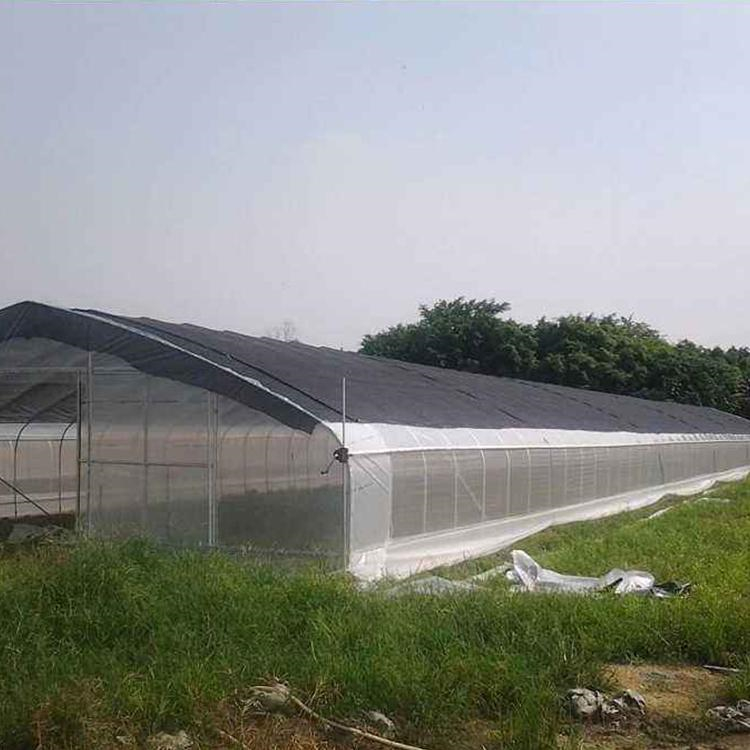 温室大棚的建造 薄膜温室大棚报价 蔬菜育苗温室