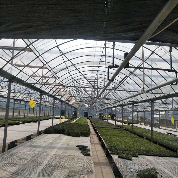 水果大棚 连栋薄膜温室价格 花卉温室