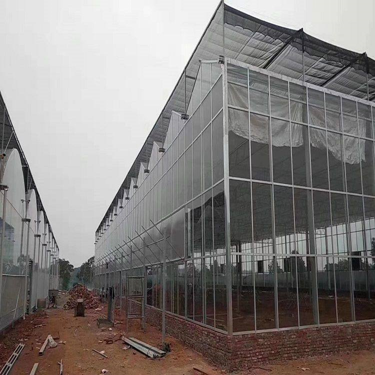采摘园温室设计 铭智承建采摘园温室 质量有保障