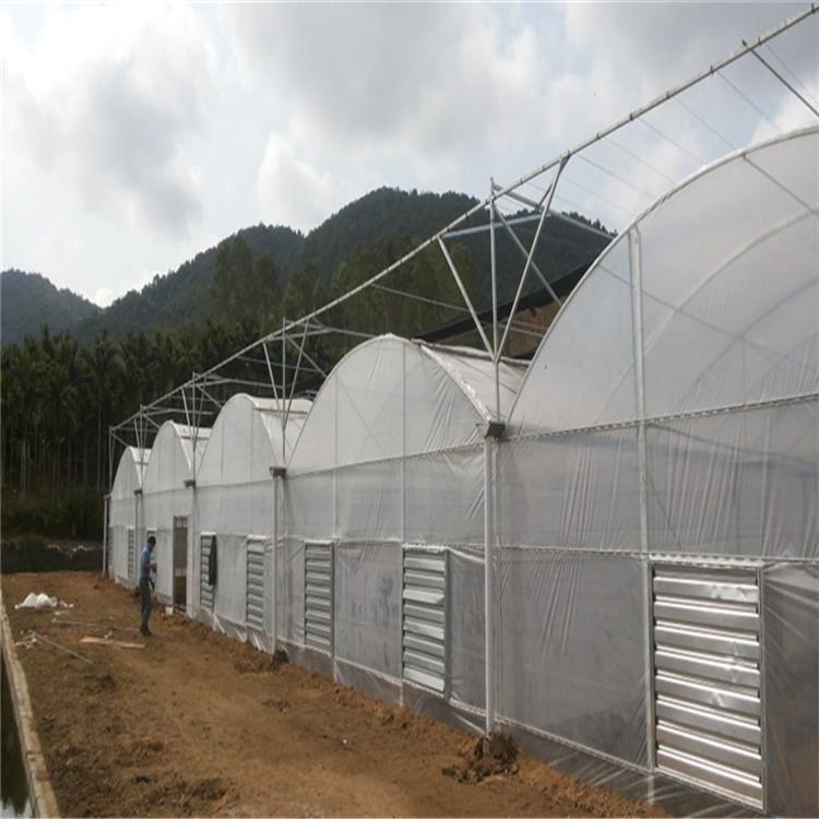 水果大棚 连栋薄膜温室大棚价格 养殖温室