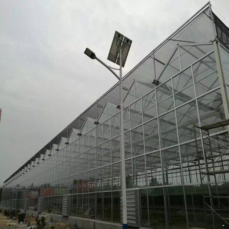 大棚温室建造商 铭智建设大棚温室 价格优惠