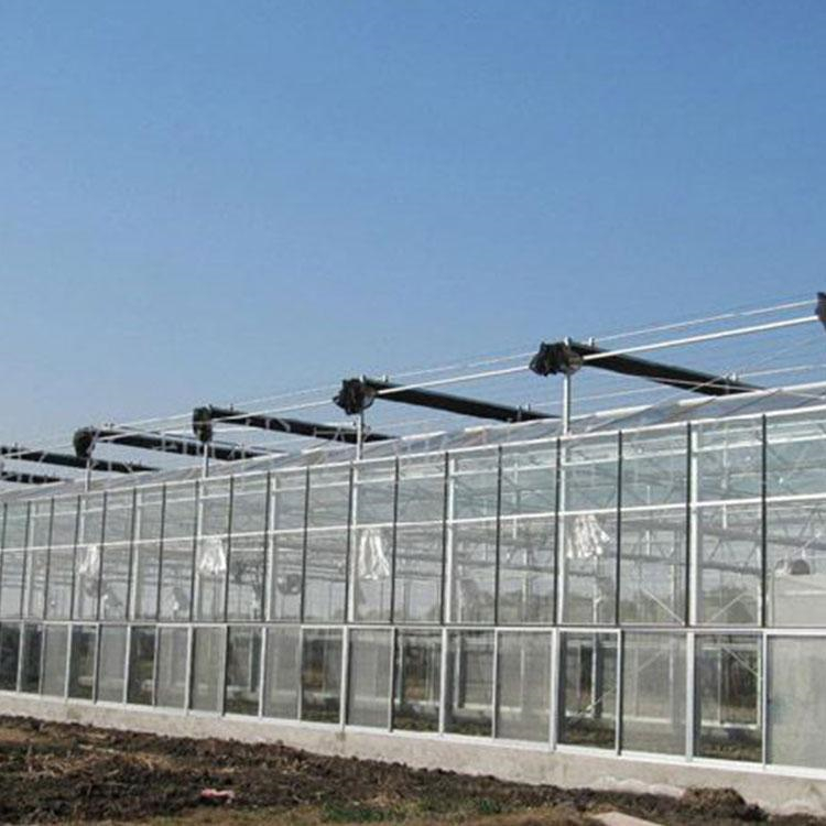 日光温室大棚建设 铭智日光温室大棚 使用寿命长