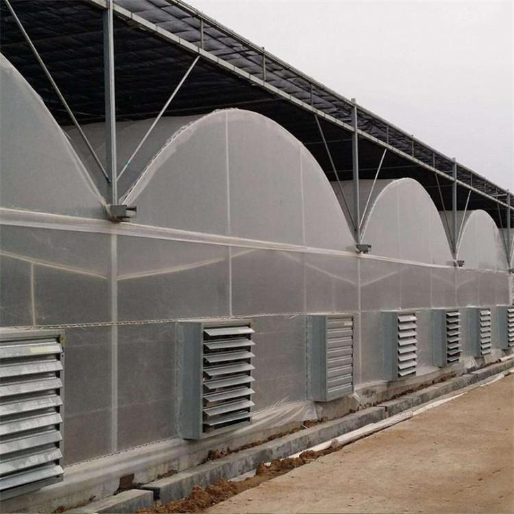 太阳能温室大棚 薄膜联栋温室建造商 新型智能温室
