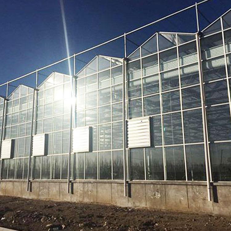 玻璃温室大棚工程 铭智玻璃温室大棚 使用寿命长