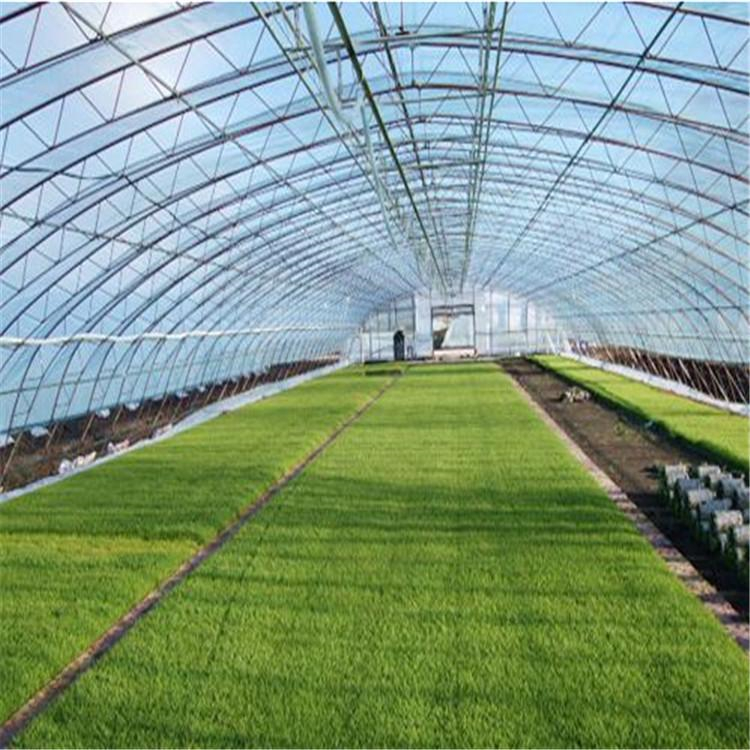 智能日光温室大棚 薄膜大棚建造 纹络温室