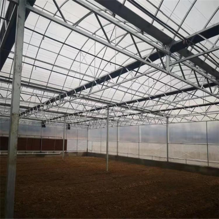 光伏蔬菜大棚 连栋薄膜温室大棚工程 新型智能温室