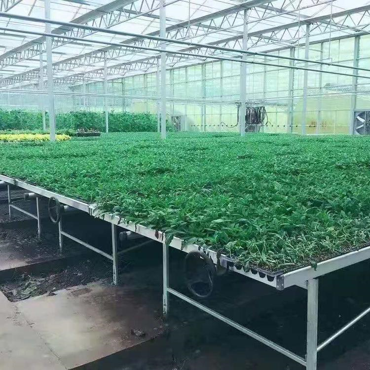 铭智生态温室大棚 生态温室大棚建造 透光性好