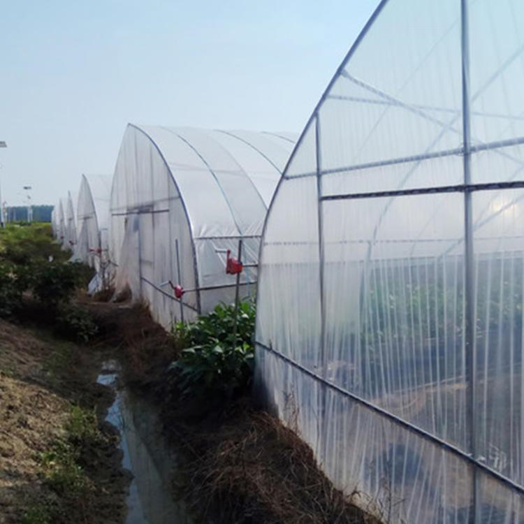 现代化温室大棚 薄膜大棚工程 温室工程
