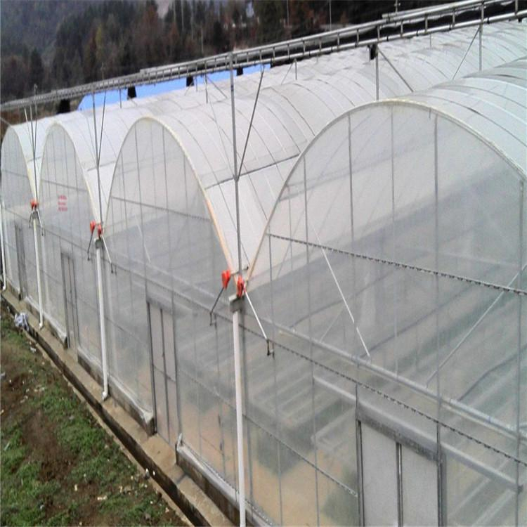 铭智承建蔬菜育苗温室 蔬菜育苗温室建造