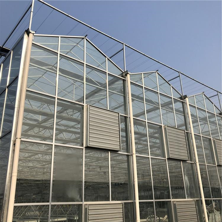 温室工程设计安装 铭智温室工程 欢迎来电咨询