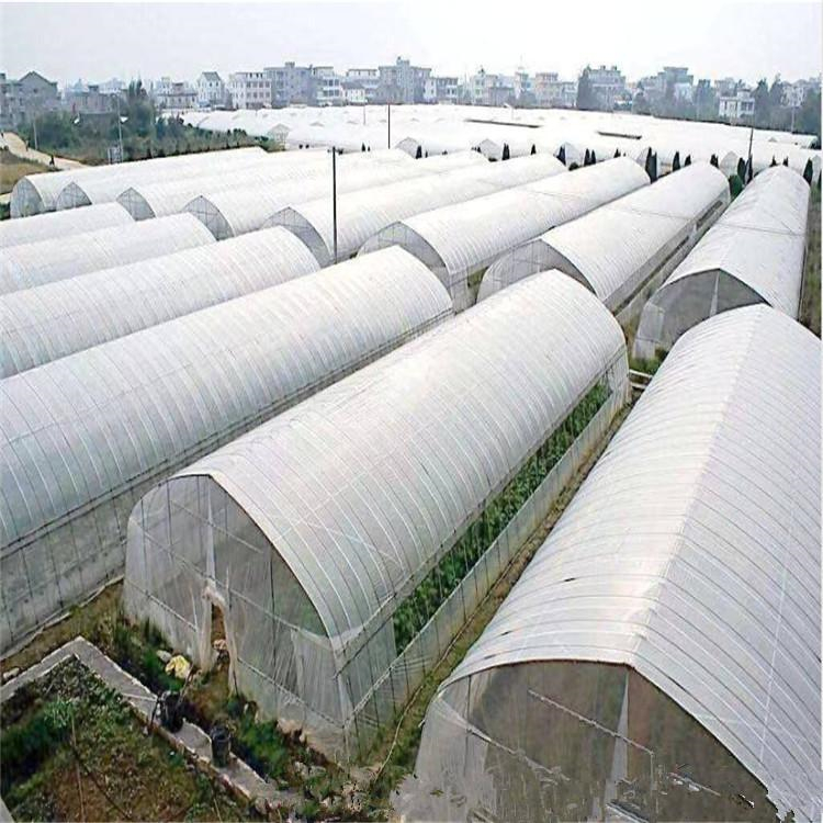 东北温室大棚 薄膜温室大棚承建 智能温室