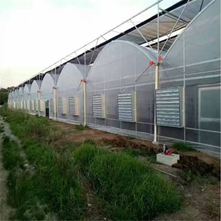 养殖大棚建设 薄膜温室设计 温室建造