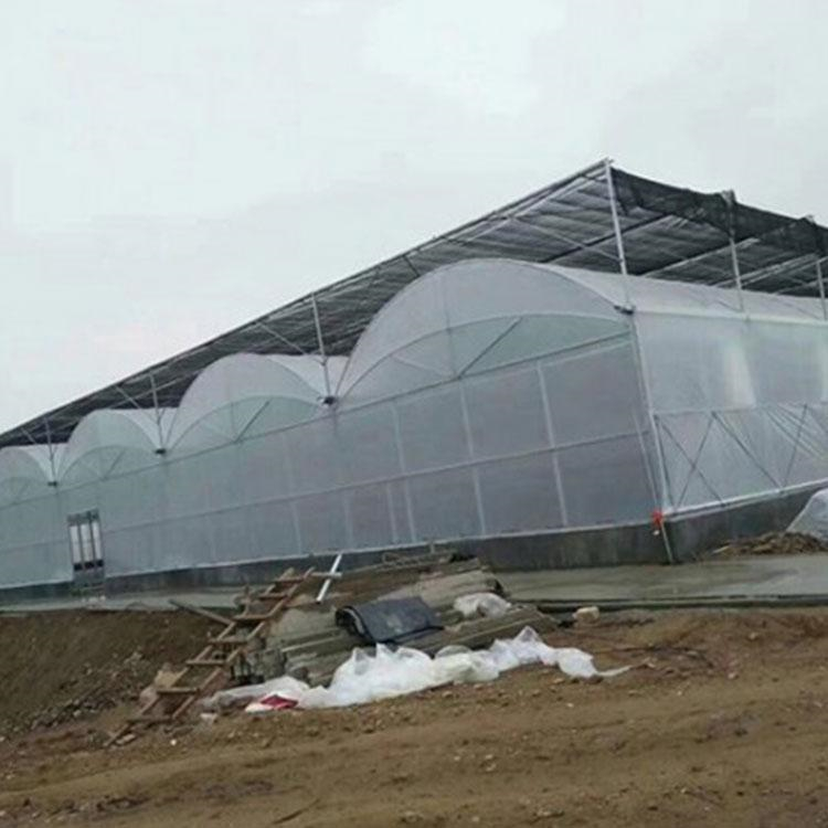 智能日光温室大棚 智能薄膜温室建设 温室工程