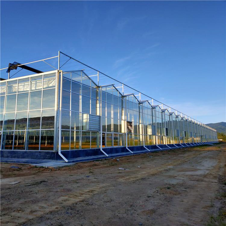 阳光板温室大棚建造 铭智建造阳光板温室大棚 价格优惠