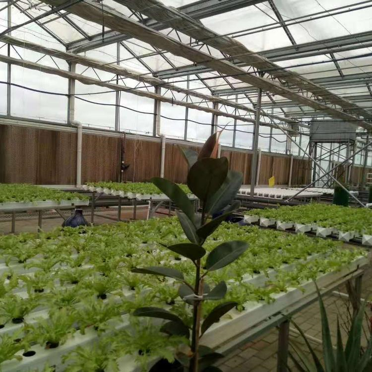 蔬菜育苗温室大棚承建 铭智蔬菜育苗温室大棚 价格优惠