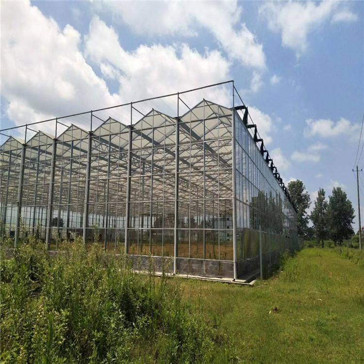 新型温室大棚设计安装 铭智承建新型温室大棚 透光性好