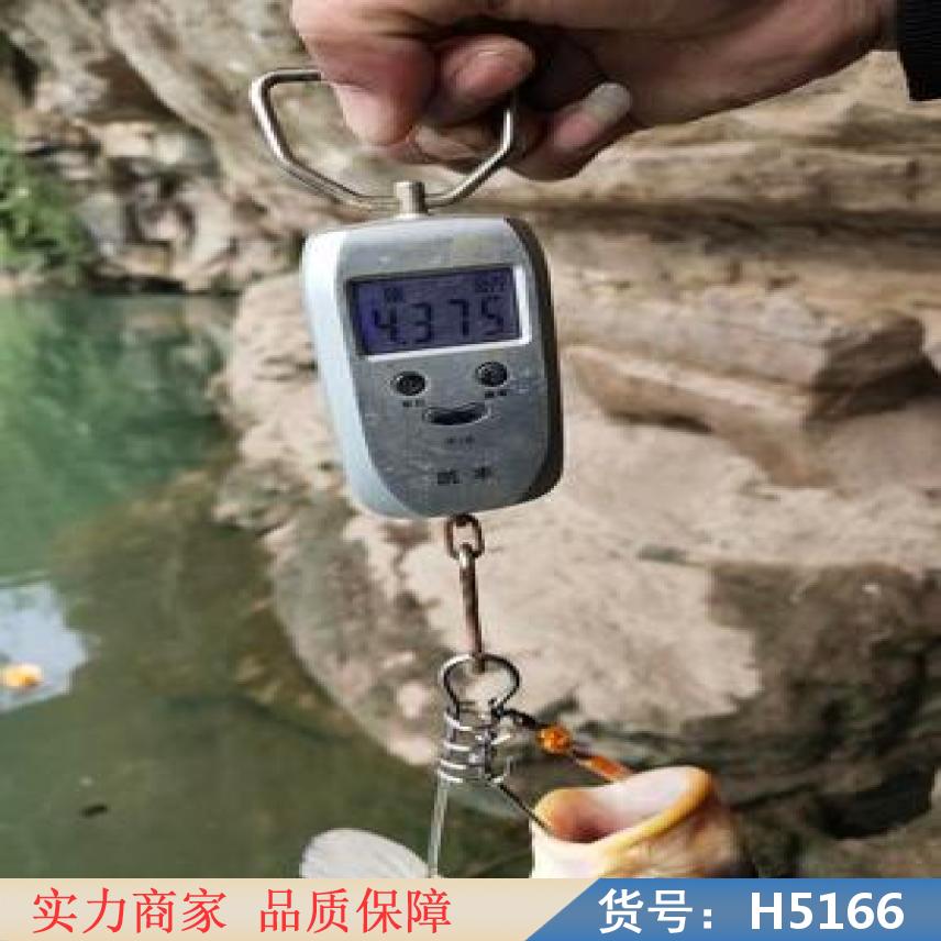 宏胜  货号H5166
