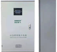 厂家定制A型集中照明应急电源 A型集中照明应急电源供应 欢迎购买