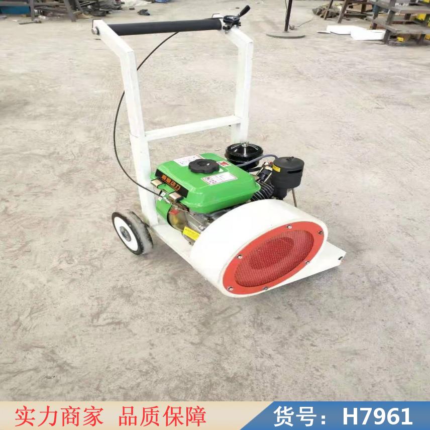 慧采吹灰除尘机 环卫电动清理机 杂物大鹏清扫机货号H7961
