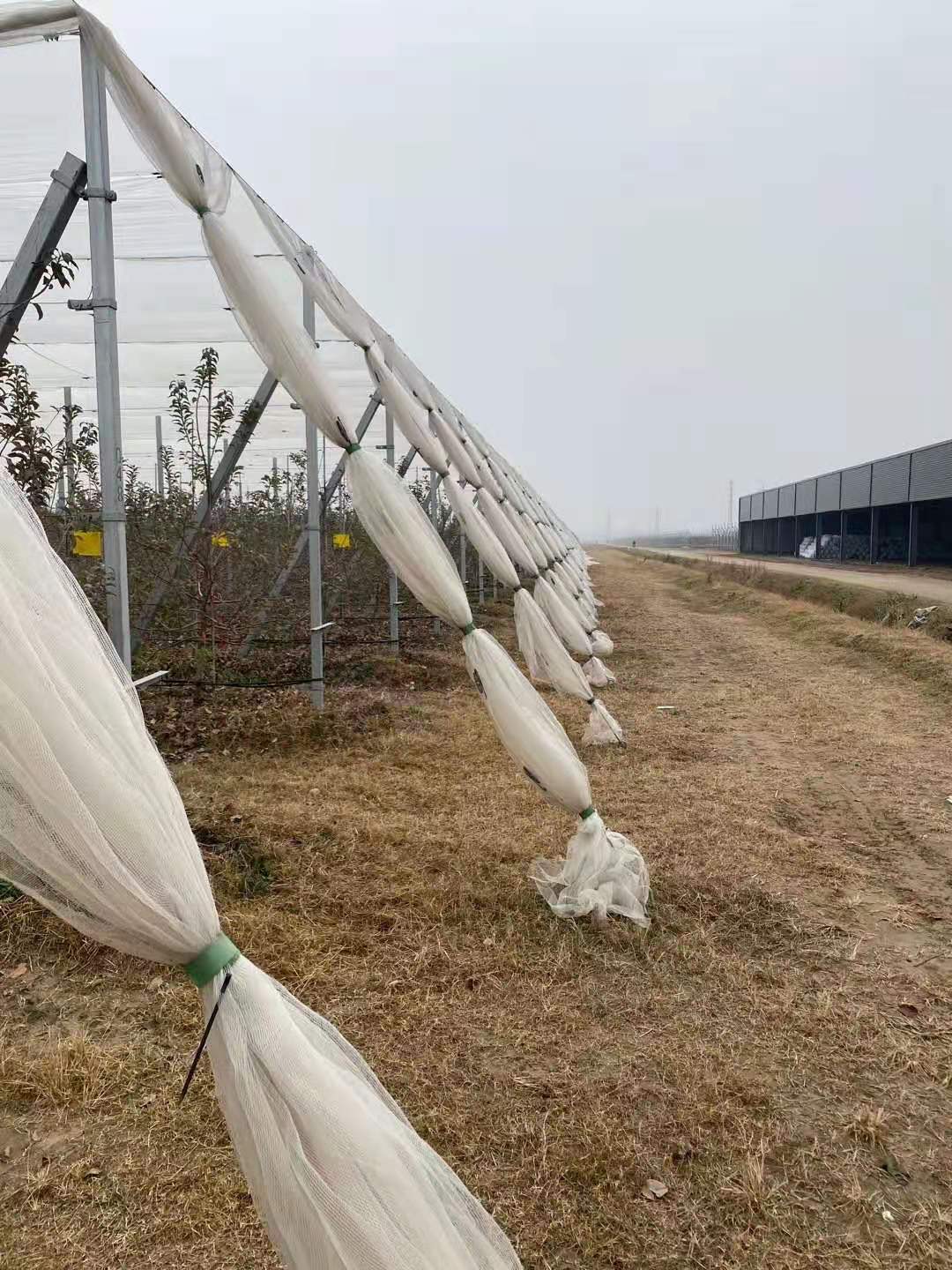 纱窗网拉丝设备 海沛斯出品 PE拉丝机 网丝拉丝机 遮阳网拉丝设备 