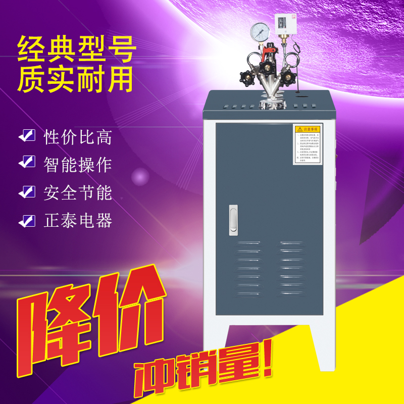 经济适用款蒸汽发生器商用蒸汽机豆腐酿酒蒸馒头天然气煮浆机锅炉