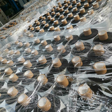 聚丙烯增强纤维防腐胶带 冷缠带 管道防腐冷缠胶带厂家