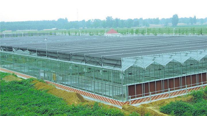 智能玻璃温室大棚    连栋玻璃温室工程   博盛温室工程