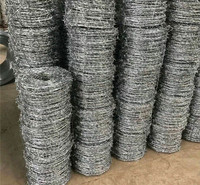  飞腾丝网 监狱防护热镀锌刺绳 包塑刺绳 供应定做