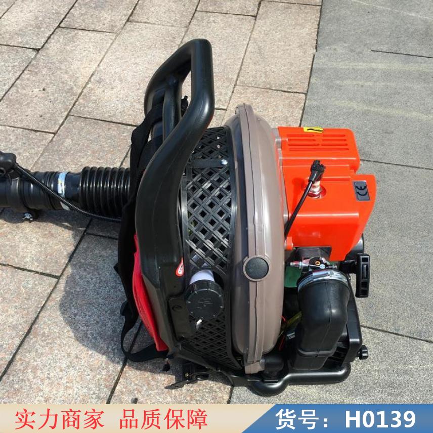 慧采泡沫自动灭火器 手推式灭火器 手推式泡沫灭火器货号H0139