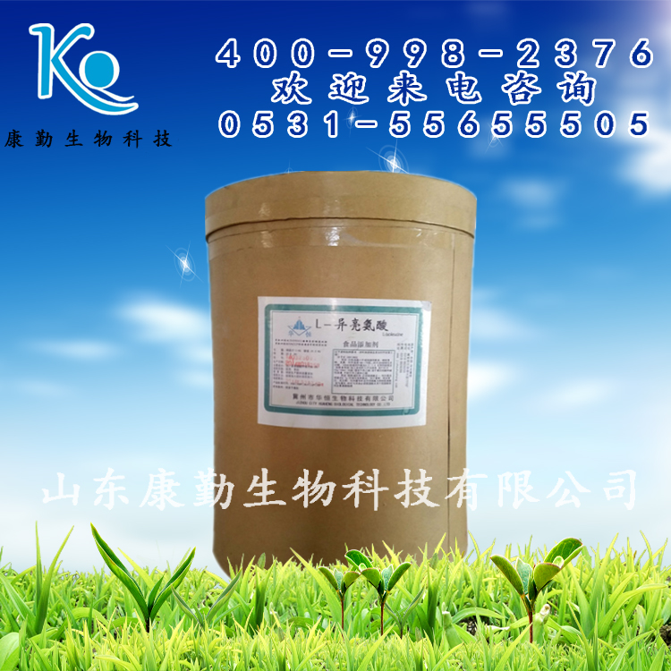 L-异亮氨酸含量 L-异亮氨酸规格 厂家直销 现货供应