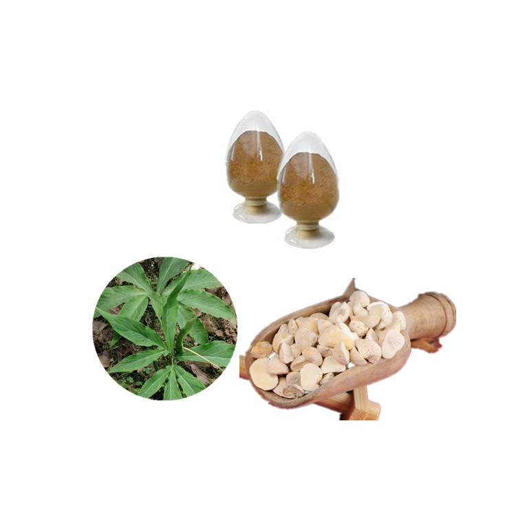 半夏植物提取物 精细粉末 慈缘生物厂家