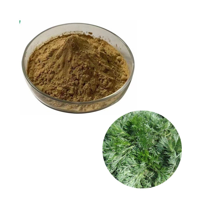 茵陈多糖厂家 精细粉末 植物提取物 茵陈多糖
