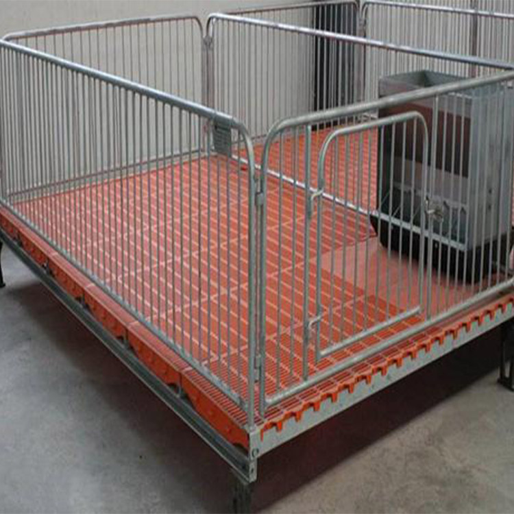定制出售猪舍小猪保育床 养殖场用保育床 金福临生产 仔猪全复合保育床