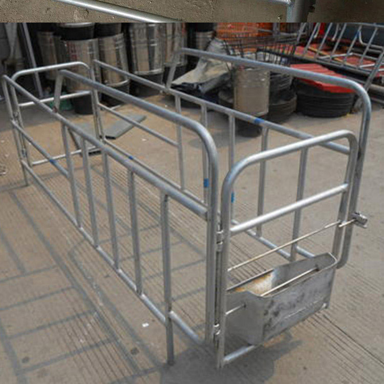 定制 落地式定位栏 猪场定位栏 猪舍定位栏 按时发货