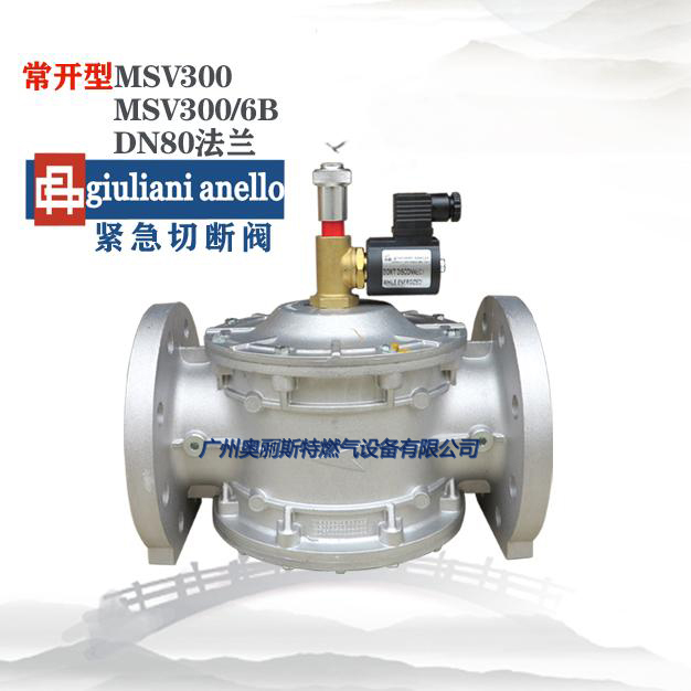 giuliani切断阀MSV300 MSV300/6B意大利进口