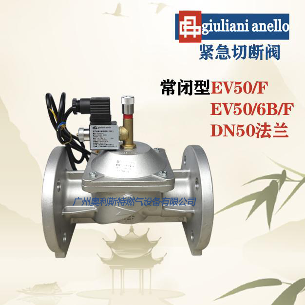 EV50F EV50/6BF意大利朱丽安尼电磁阀giuliani