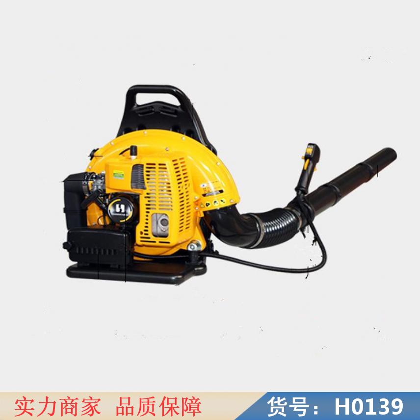 慧采干粉泡沫灭火器 泡沫型自动灭火器 背负式灭火器EB650货号H0139