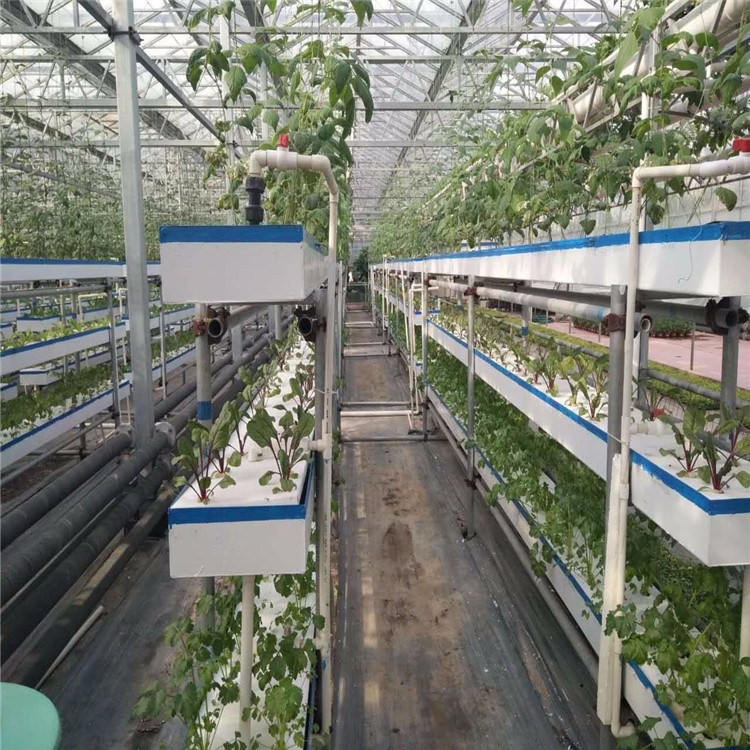 智能玻璃温室价格 种植玻璃温室大棚 无土栽培种植玻璃温室